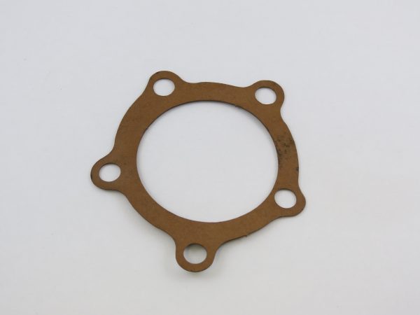 Gasket: water pump  (up to E-21007)